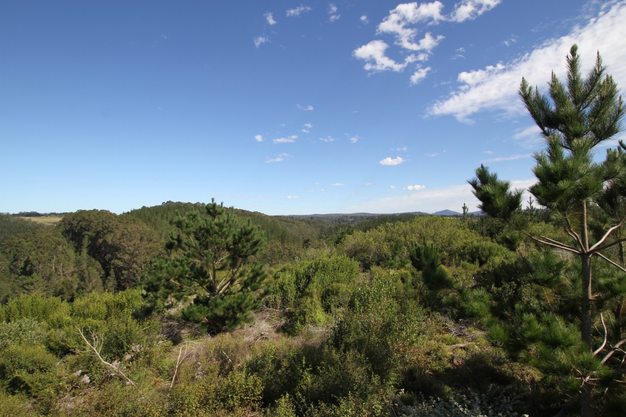 0 Bedroom Property for Sale in Plettenberg Bay Rural Western Cape